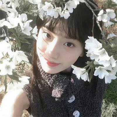 翼龙
