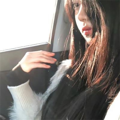 101朵玫瑰